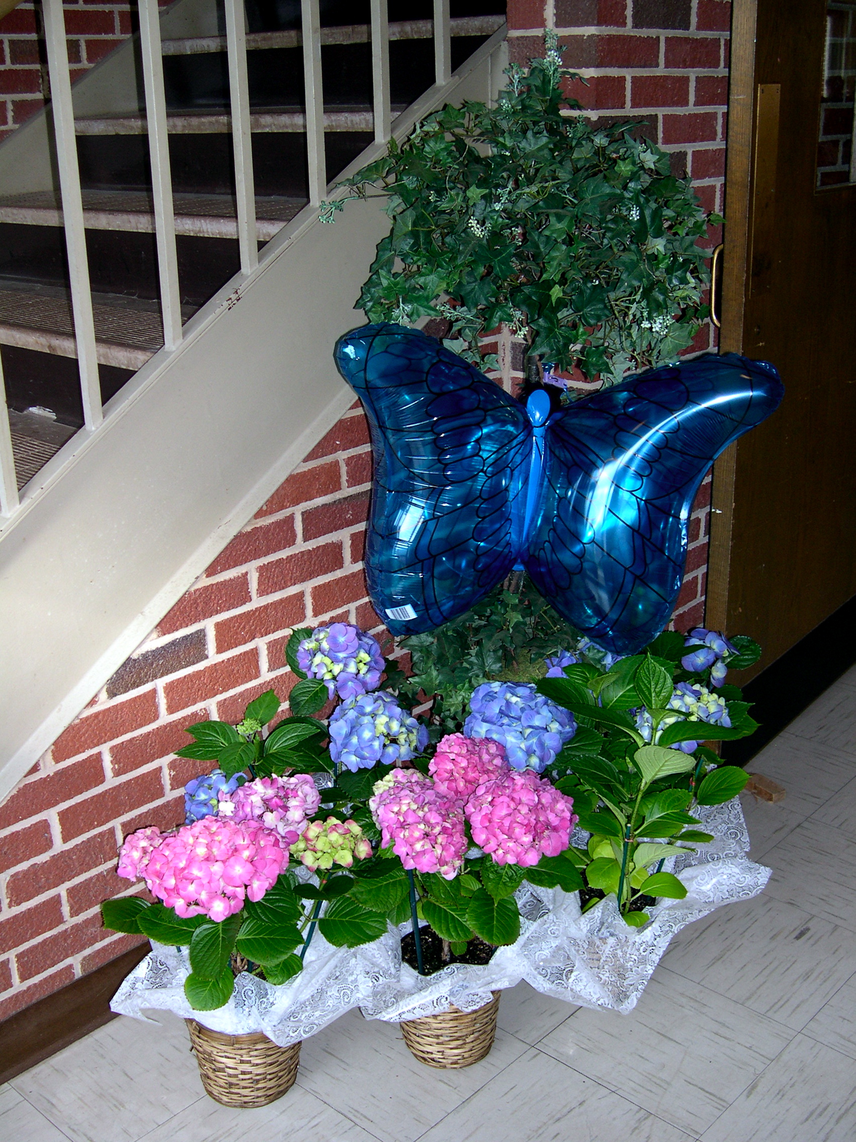 DSCN5200.JPG