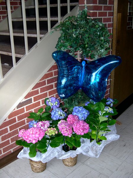 DSCN5200.JPG