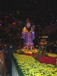 the year of the dog at Bellagio