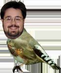 me, with a finch for a body