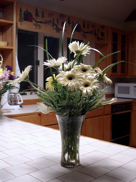 white daisies