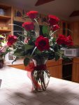 red long-stemmed roses