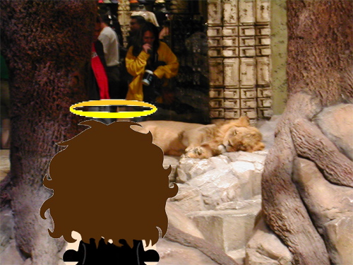 I took Cynthia down to see the lions in the hotel. They were all napping.