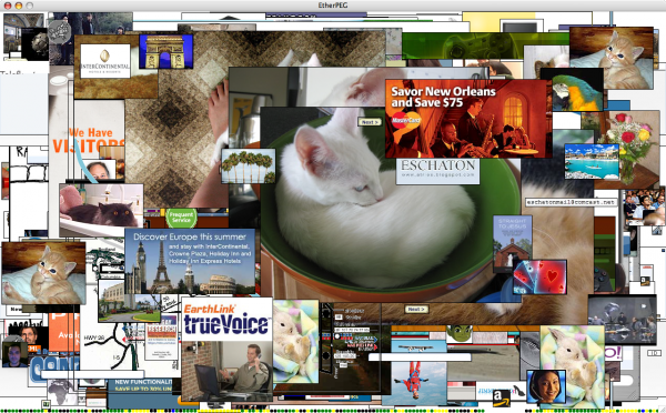 looks like someone went to cute overload or stuff on my cat