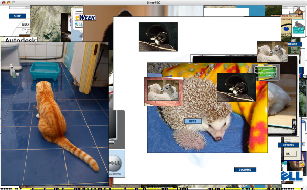 animal time -- that cat hates the litter box I think