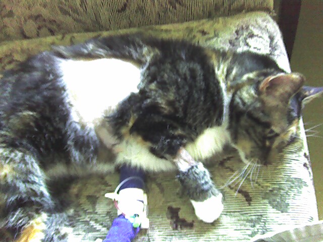 Boo in the Hospital