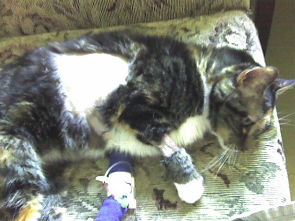 Boo in the Hospital