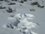 Cynthia made a snow angel
