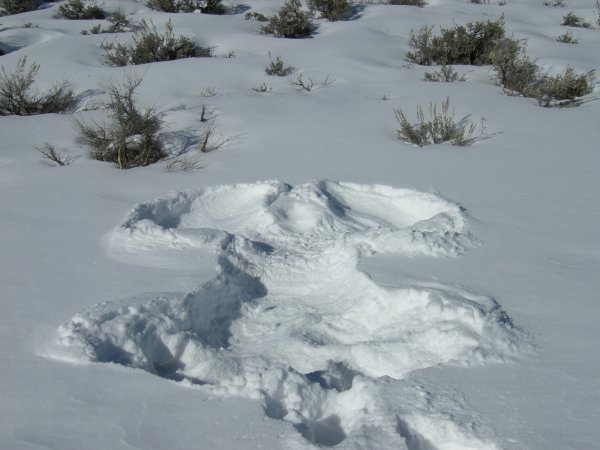Cynthia made a snow angel