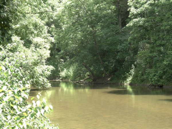 river near the picnic area