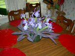 DSCN0784.JPG